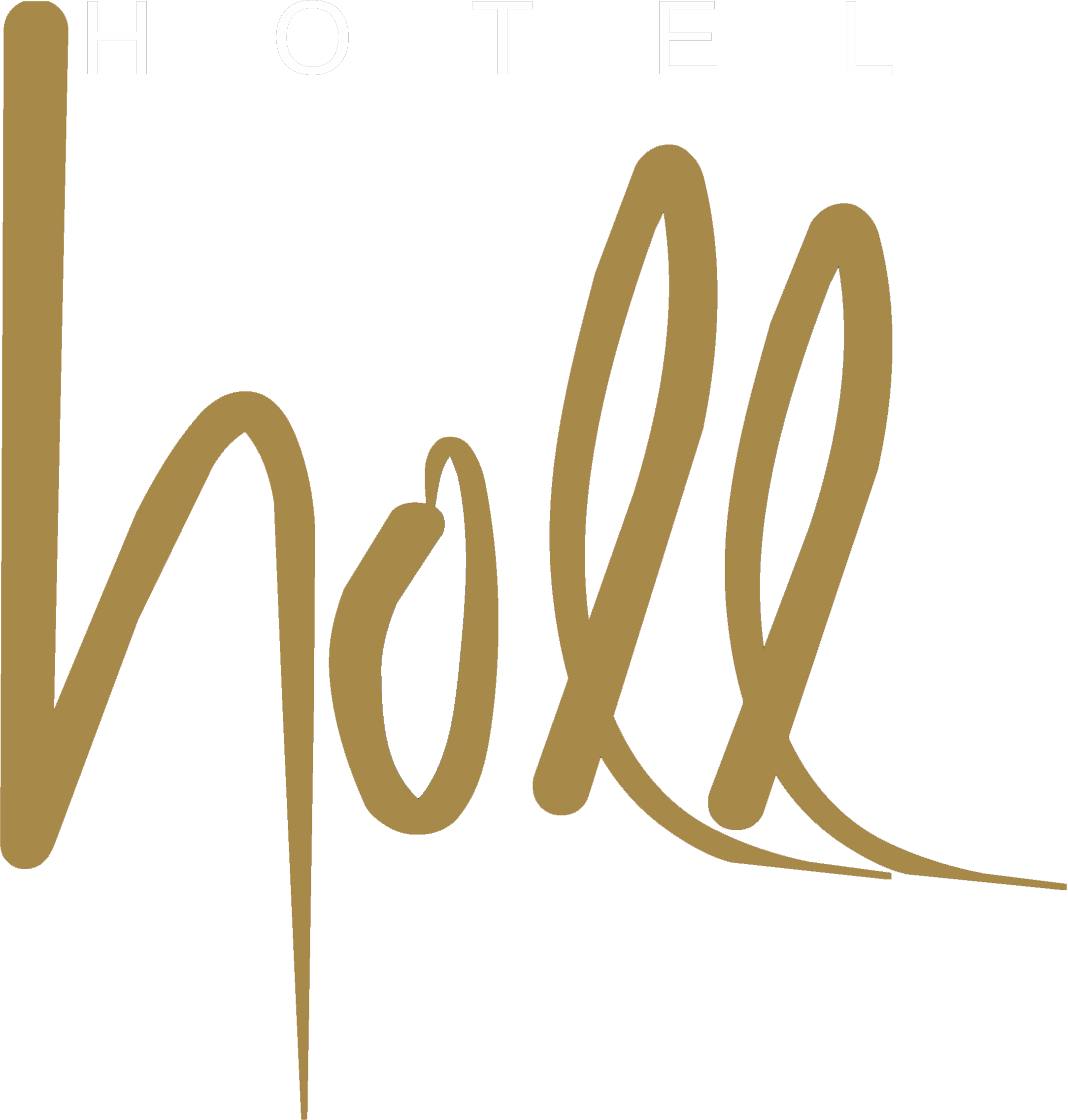 Hotel Holl